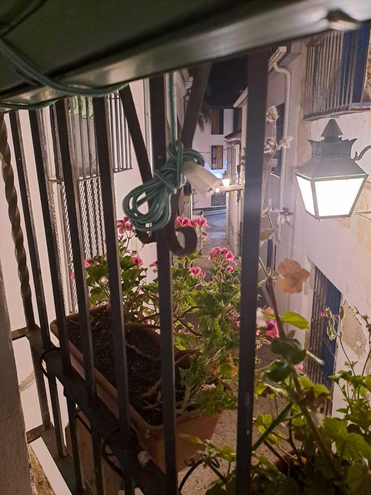 Calleja La Pimentera 코르도바 외부 사진